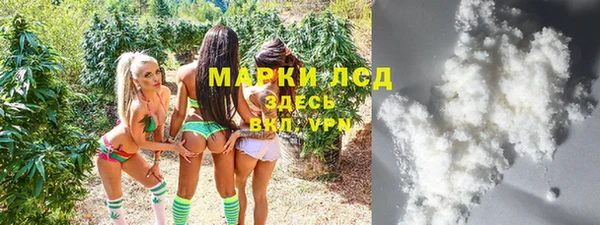 сатива Алзамай