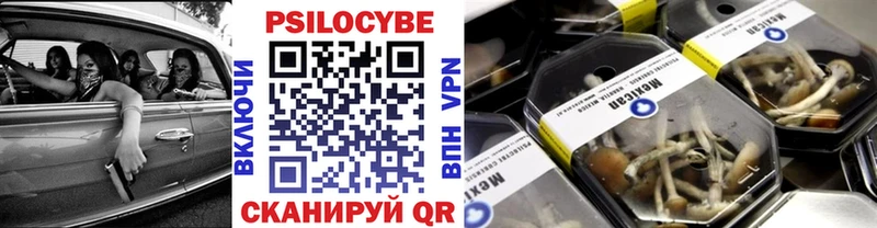 где продают   Люберцы  Галлюциногенные грибы Psilocybe 